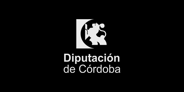Tu web accesible colaboracion con diputación de Cordoba