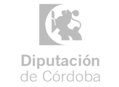 Web Accesible Diputación de Córdoba 21 Web Accesible Diputación de Córdoba