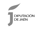 Web Accesible Diputación de Jaén 19 Web Accesible Diputación de Jaén